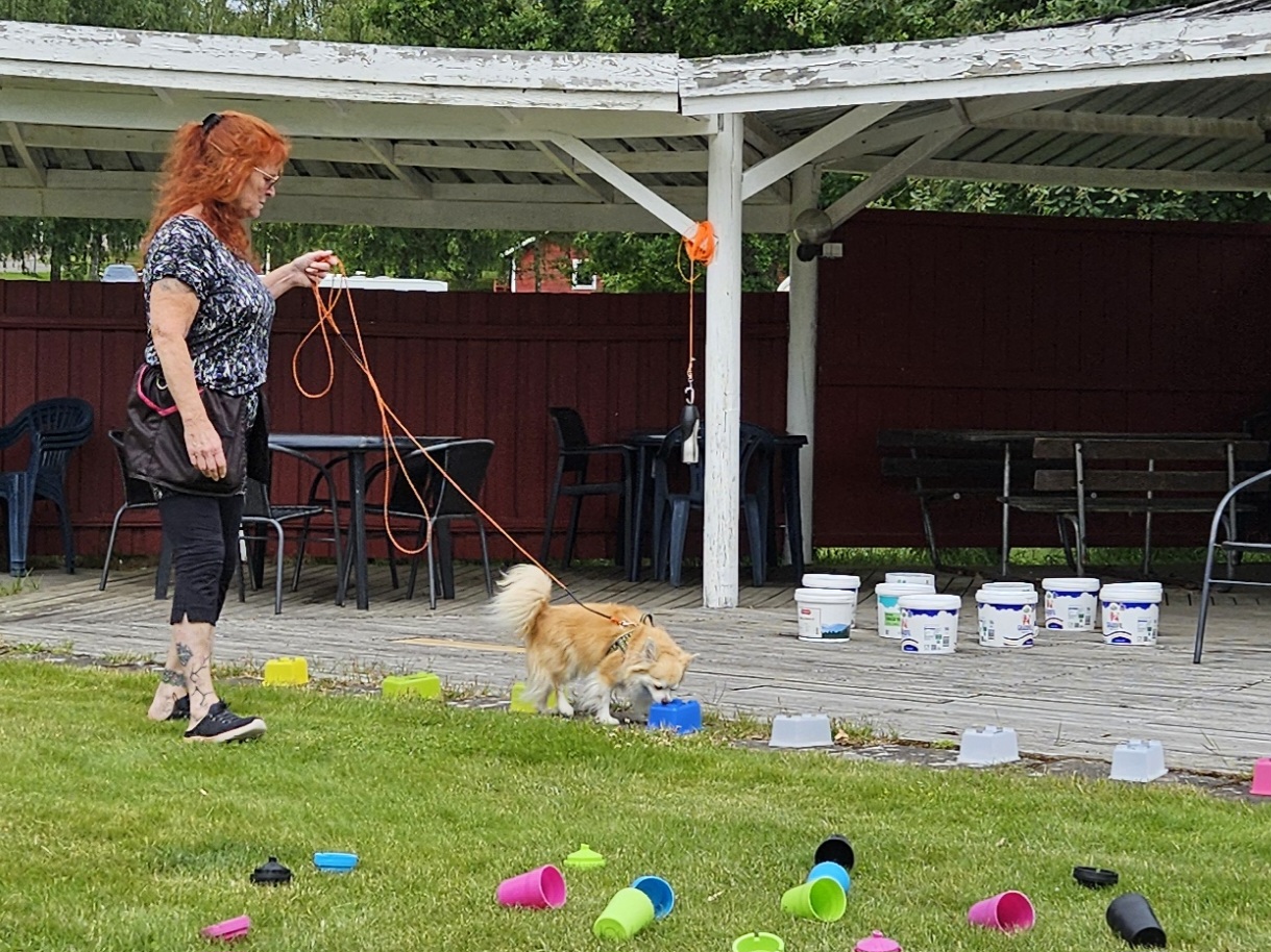 TEMA träning Behållare